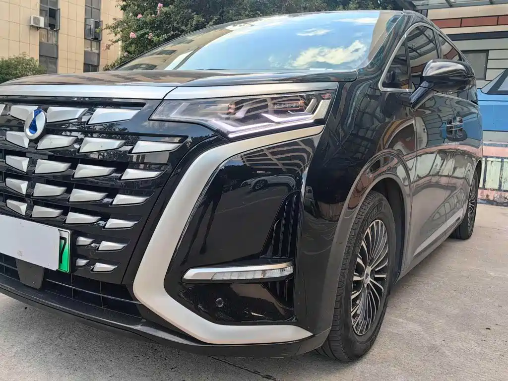 Denza Denza D9 — миниатюра 4