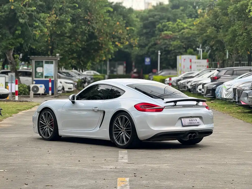 Porsche Cayman — миниатюра 5