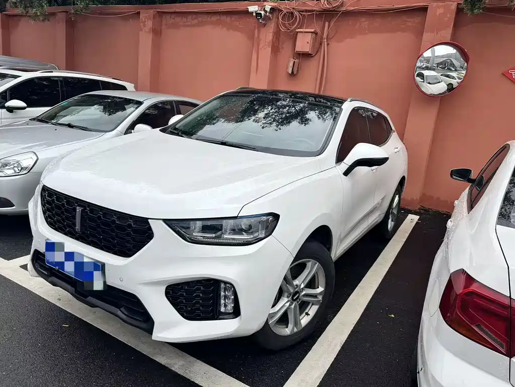 WEI PAI WEI BRAND VV5