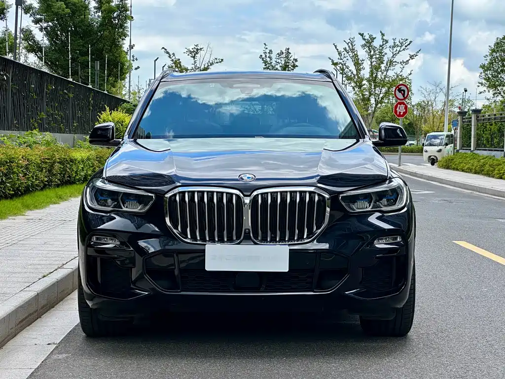 BMW X5 (Import) — миниатюра 2