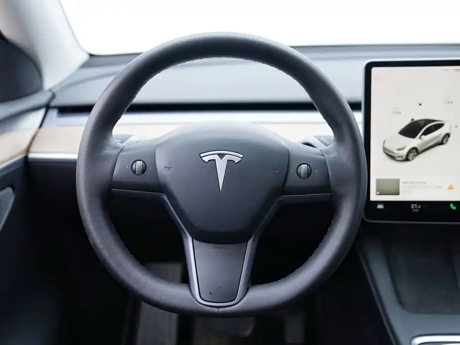 Tesla Model Y — миниатюра 10