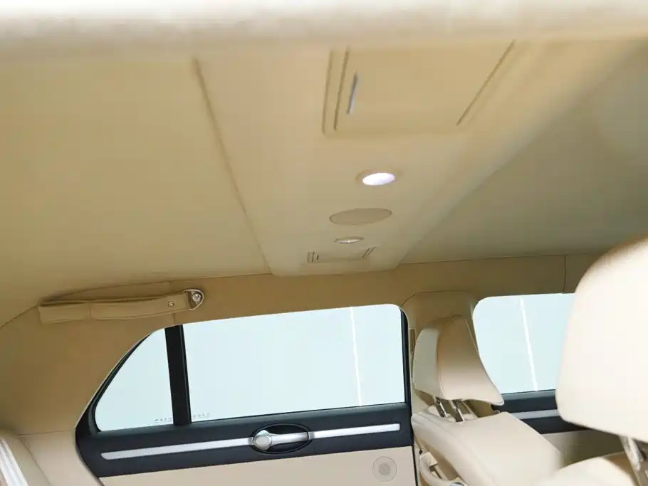 Hongqi Hongqi Golden Sunflower Guoli — миниатюра 21