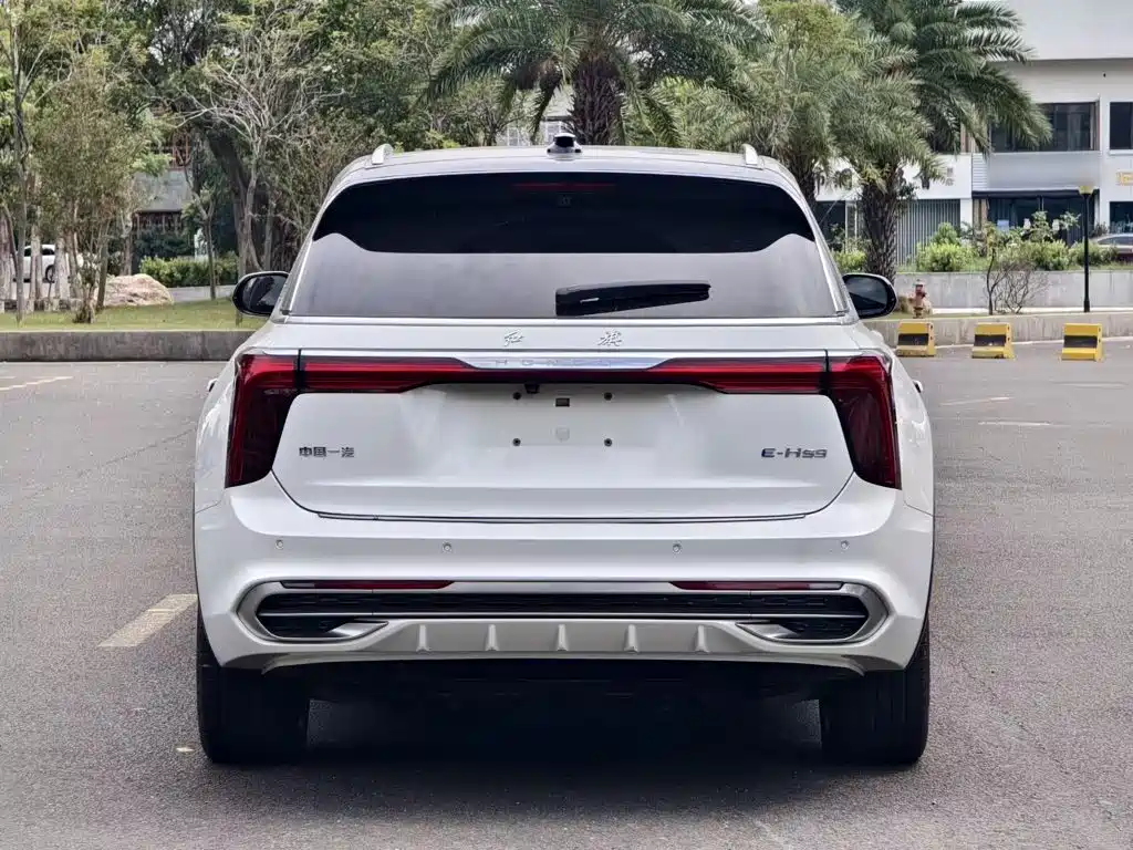 Hongqi Hongqi E-HS9 — миниатюра 11