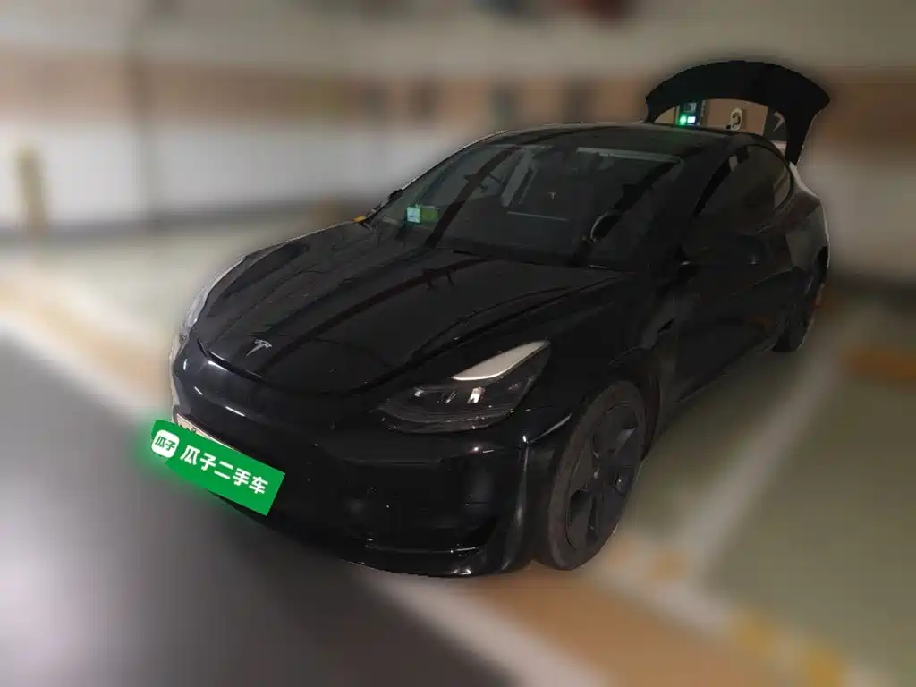 Tesla Model 3 — миниатюра 2