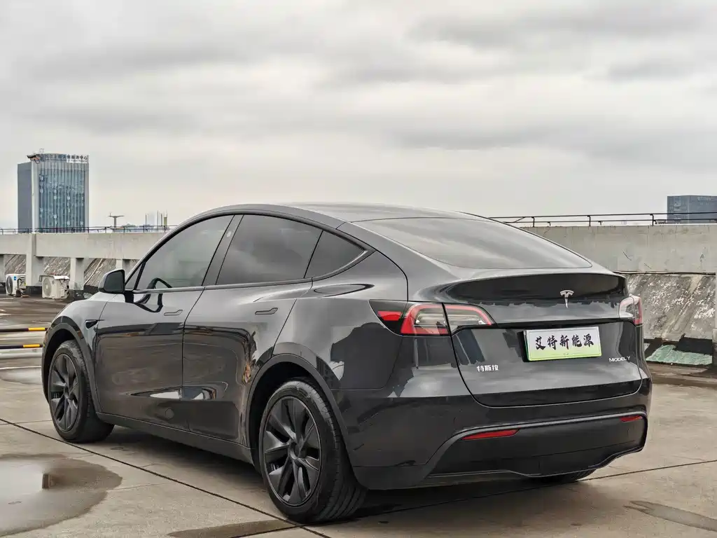 Tesla Model Y — миниатюра 5