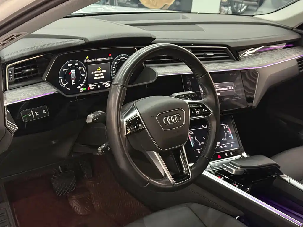 Audi e-tron (Import) — миниатюра 6