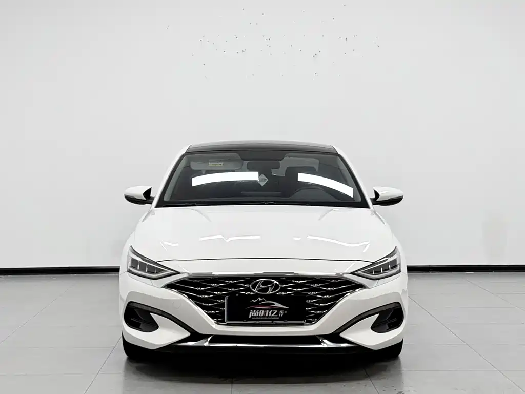 Hyundai Fista — миниатюра 2