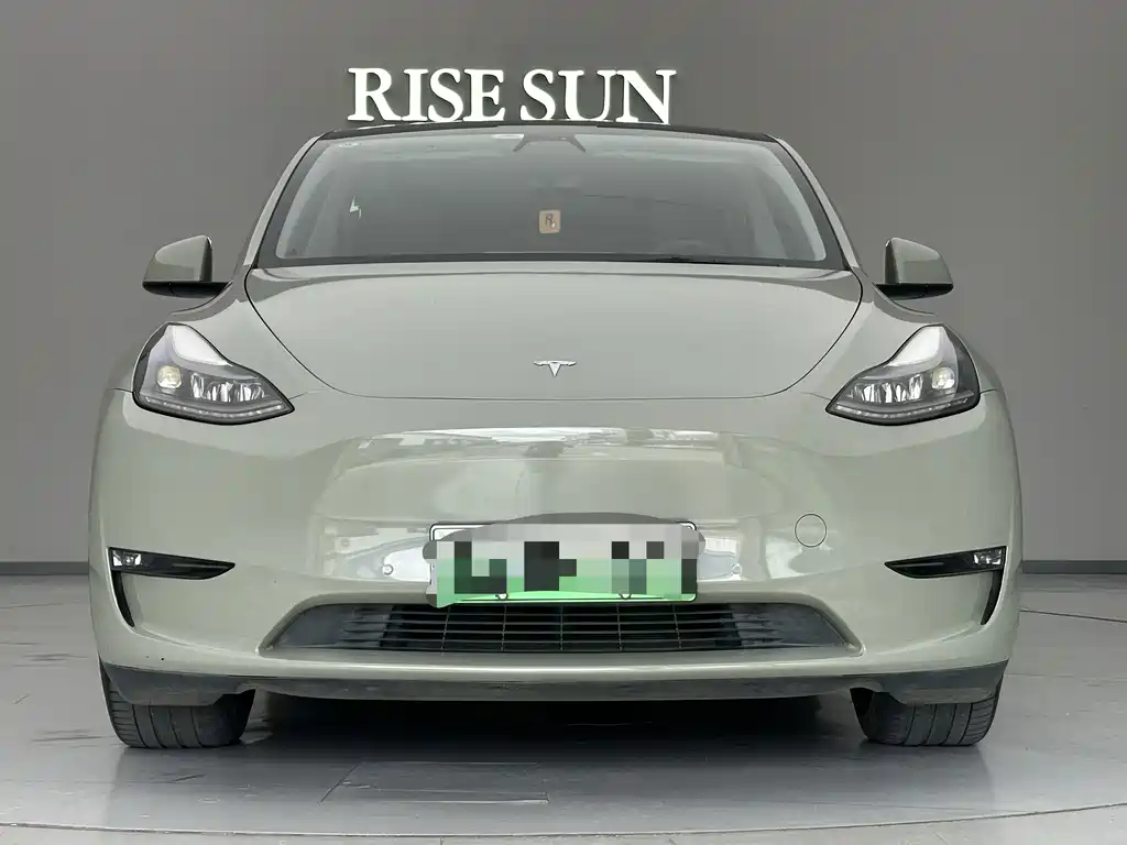 Tesla Model Y — миниатюра 2