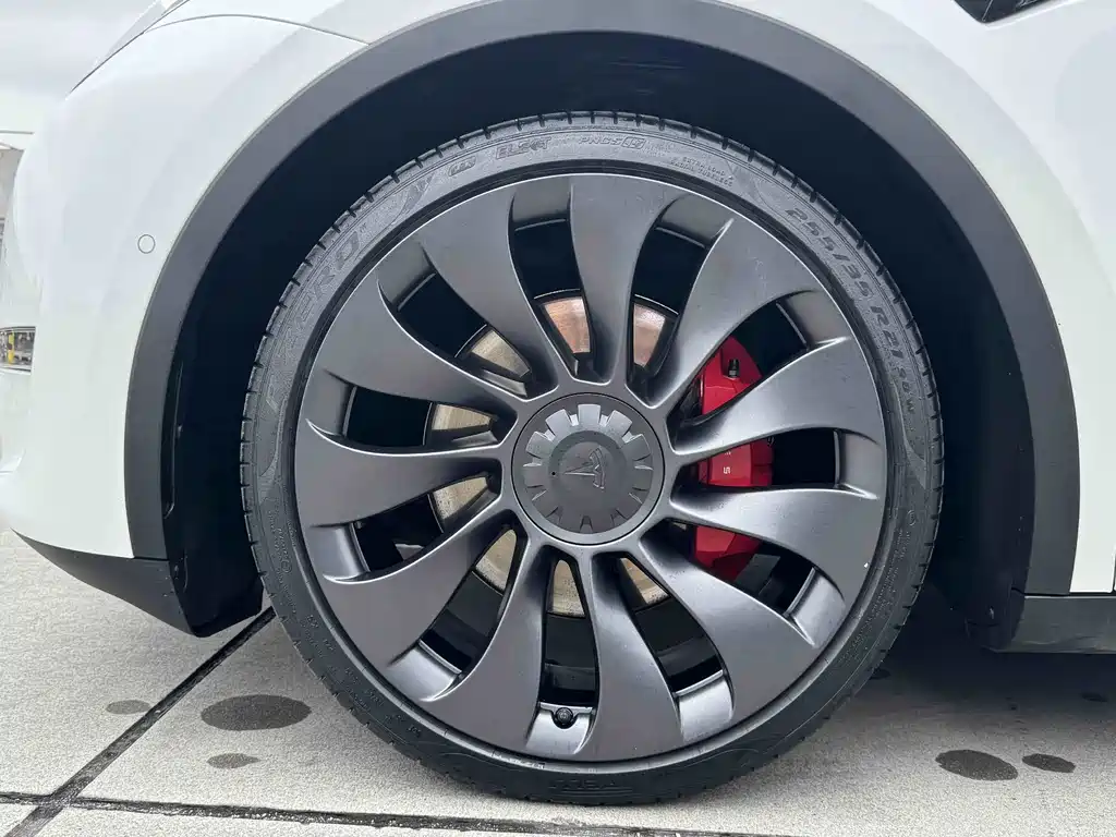 Tesla Model Y — миниатюра 11