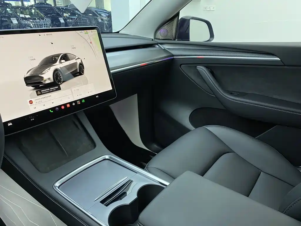 Tesla Model Y — миниатюра 29