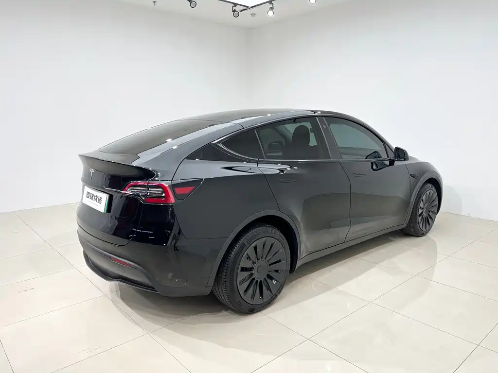 Tesla Model Y — миниатюра 6