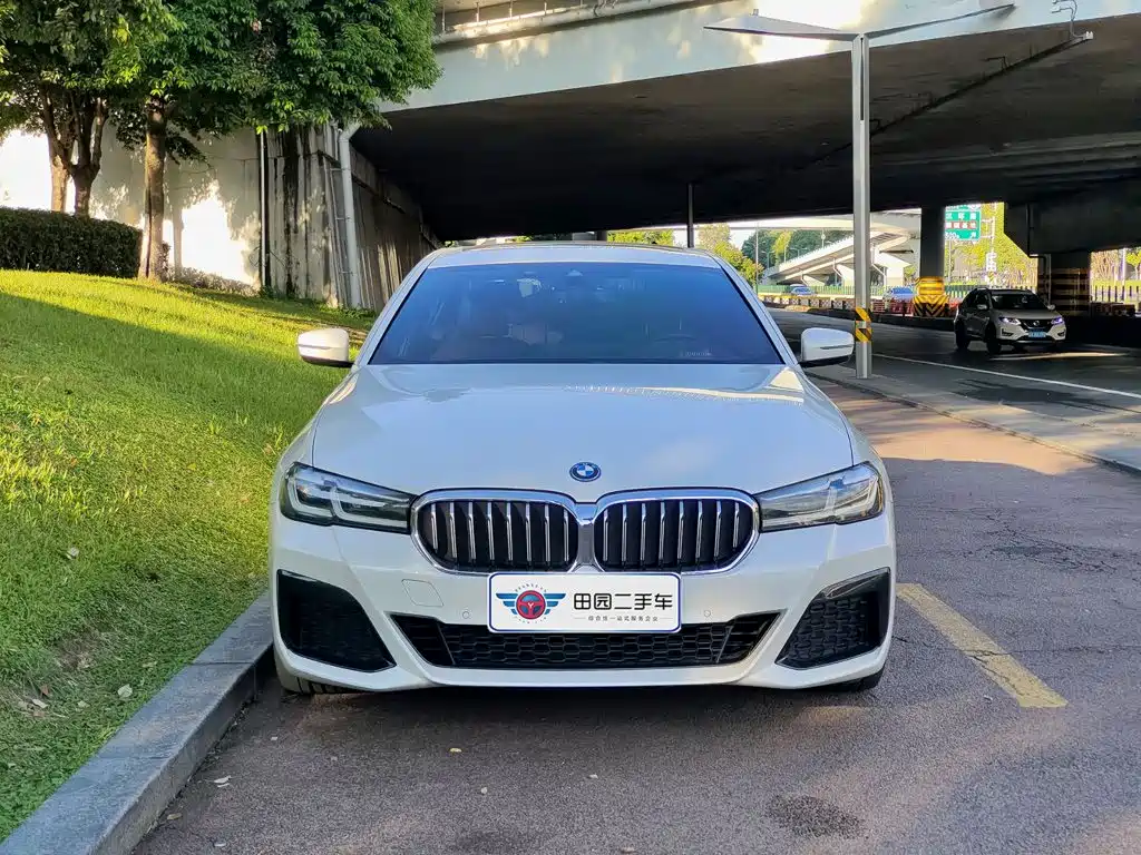 BMW 5 Series New Energy — миниатюра 2