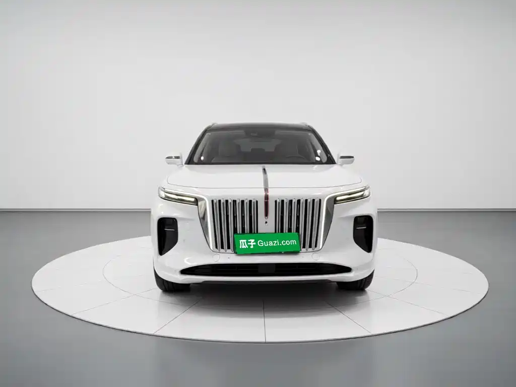 Hongqi Hongqi E-HS9 — миниатюра 3