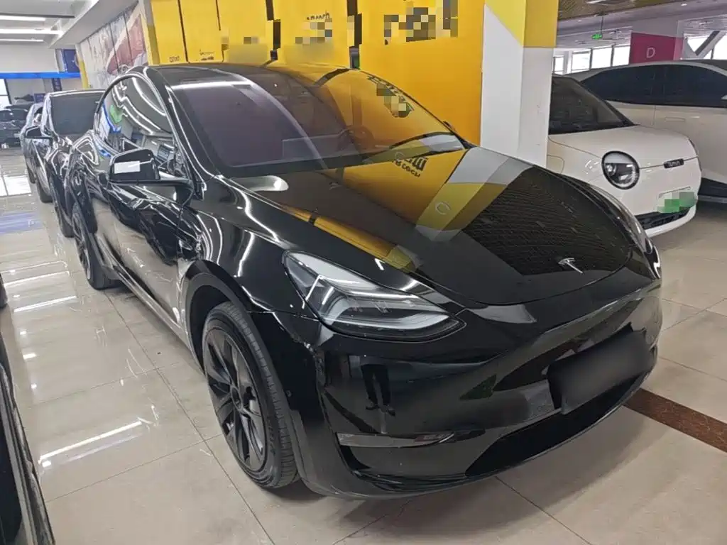 Tesla Model Y — миниатюра 4