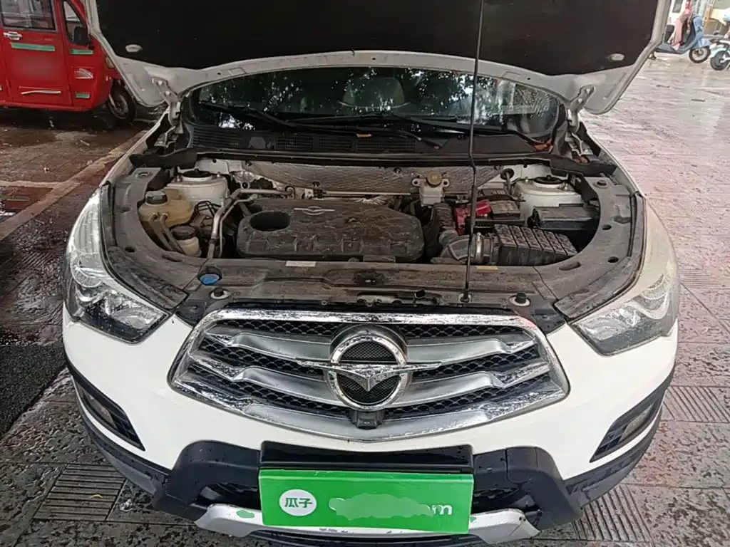 Haima Haima S5 — миниатюра 20