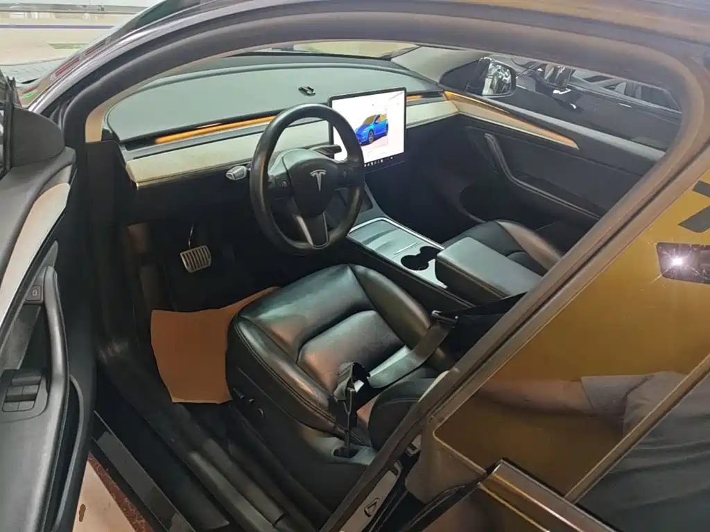 Tesla Model Y — миниатюра 16