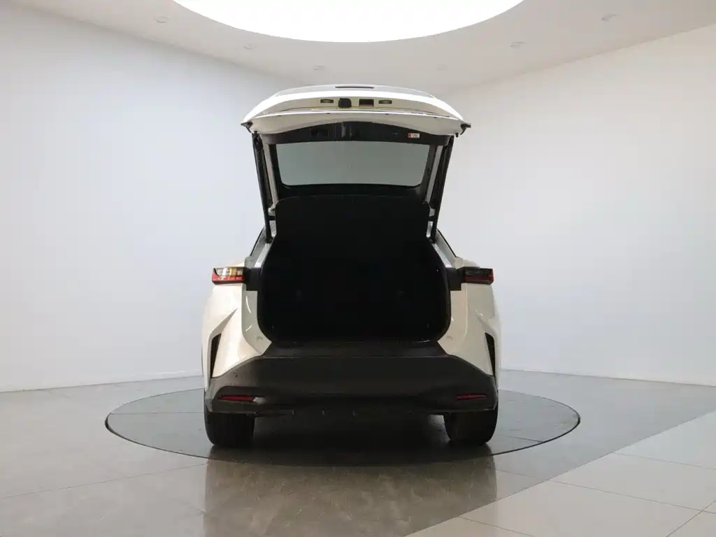 Lexus RZ — миниатюра 9