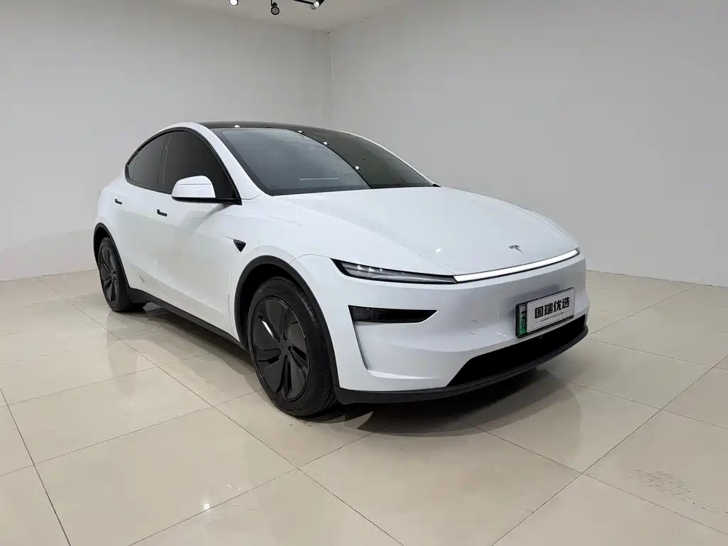 Tesla Model Y — миниатюра 3