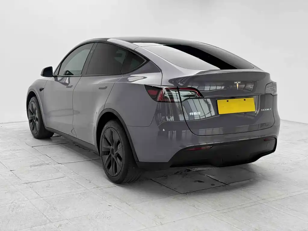 Tesla Model Y — миниатюра 4