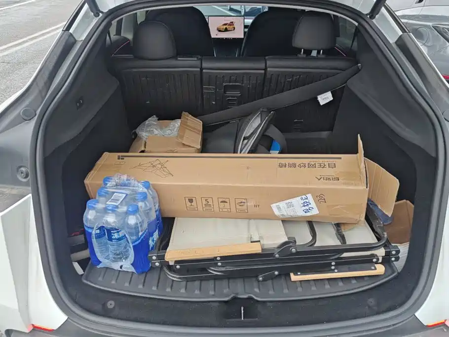 Tesla Model Y — миниатюра 4