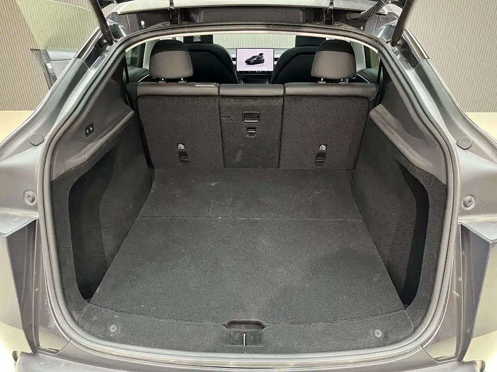 Tesla Model Y — миниатюра 13