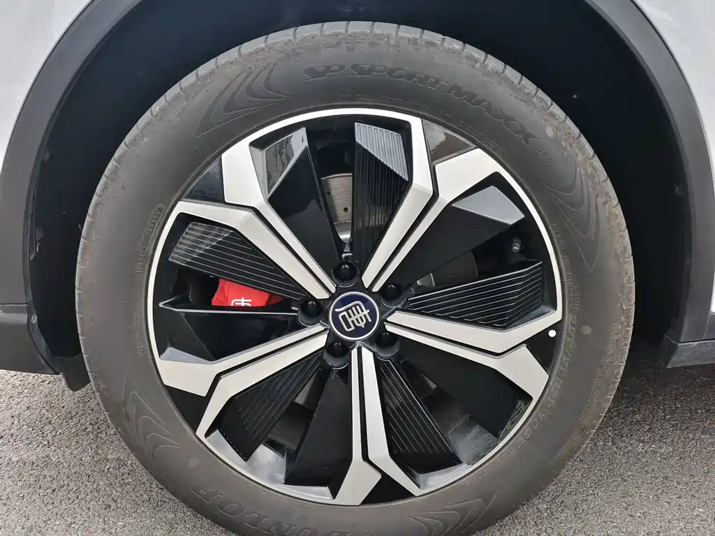 BYD Tang New Energy — миниатюра 3