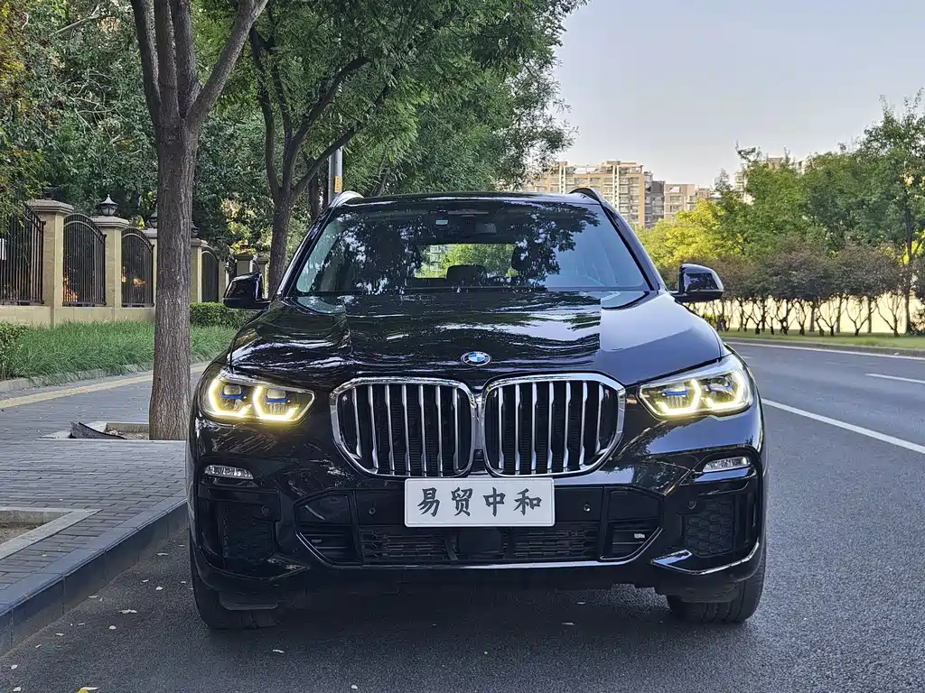 BMW X5 (Import) — миниатюра 4