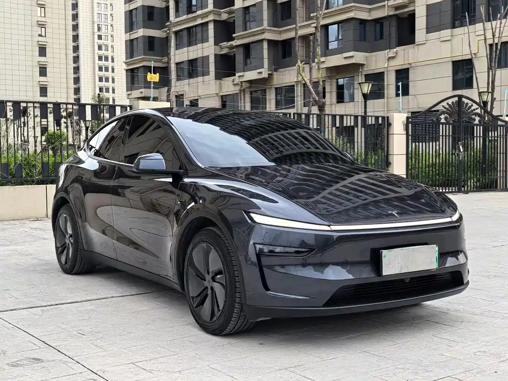 Tesla Model Y — миниатюра 3