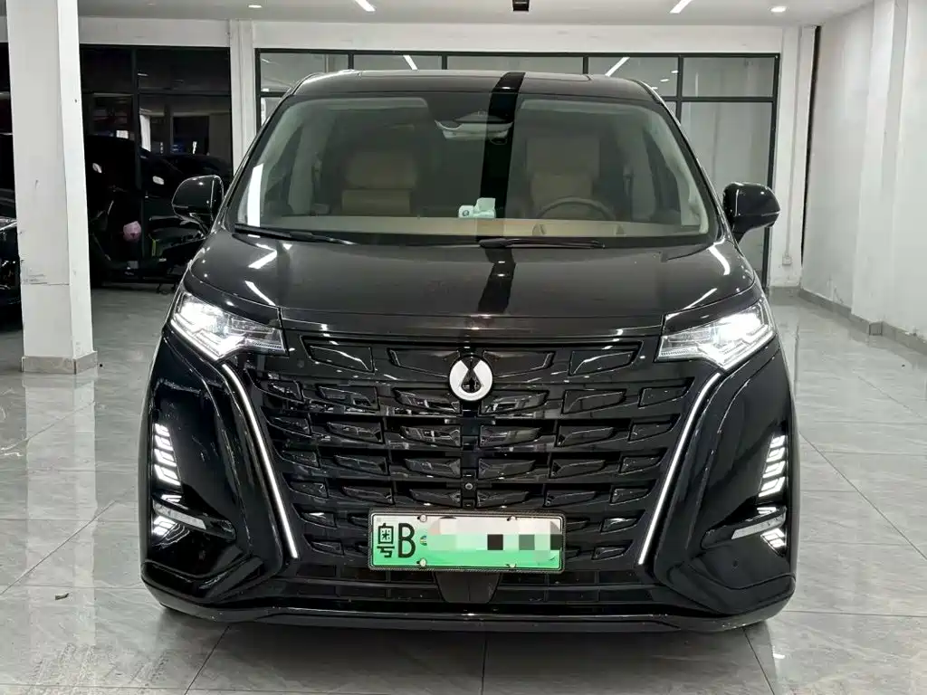 Denza Denza D9 — миниатюра 2