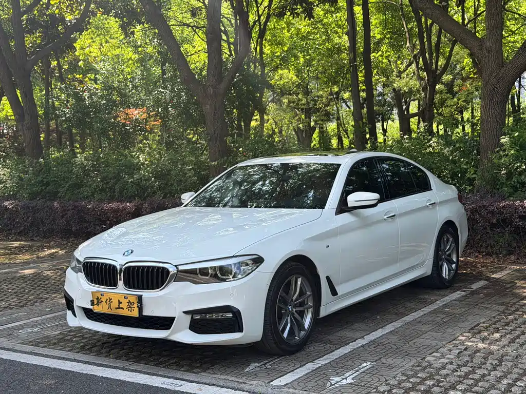 Купить BMW 5 Series (Import)