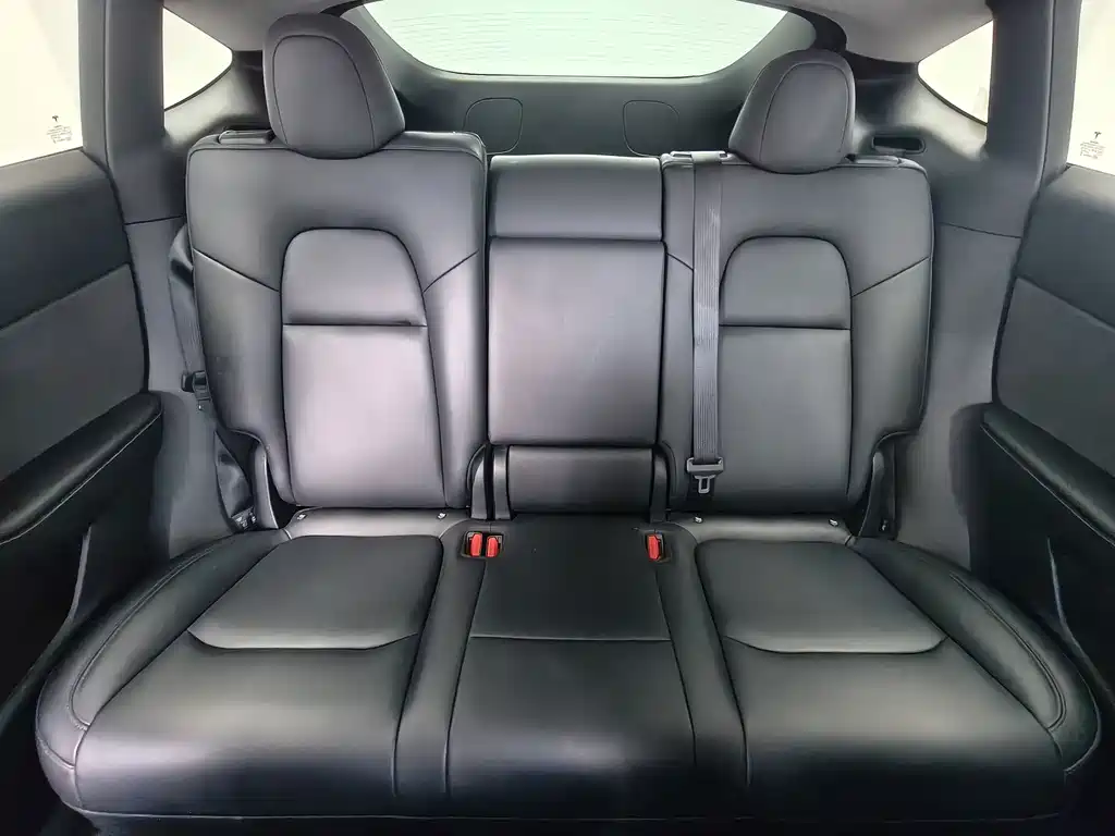 Tesla Model Y — миниатюра 15