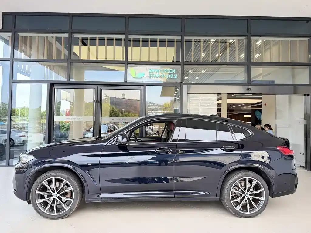 BMW X4 — миниатюра 2