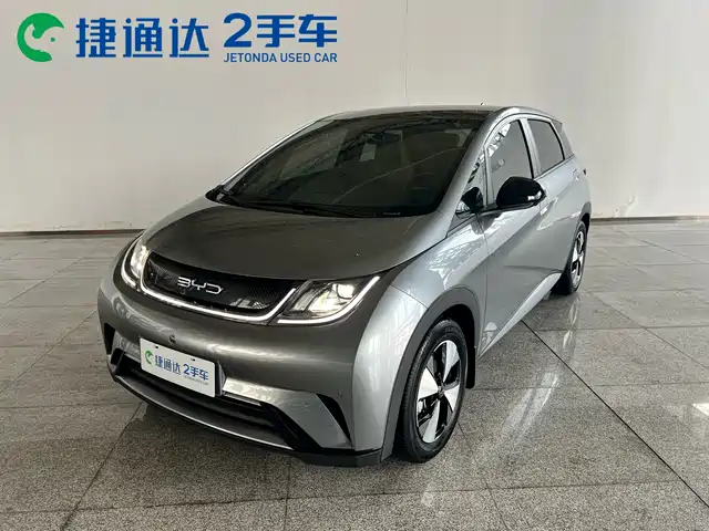 2023 BYD Dolphin