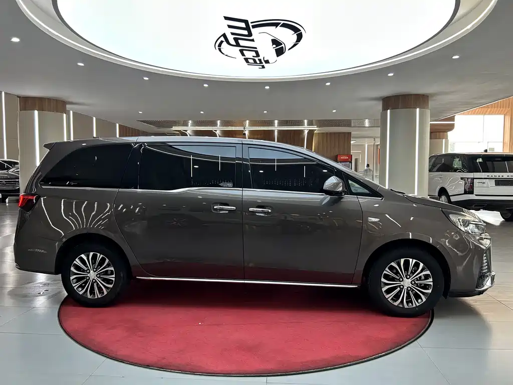 Buick GL8 — миниатюра 4