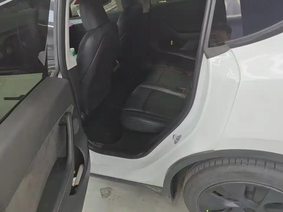 Tesla Model Y — миниатюра 4