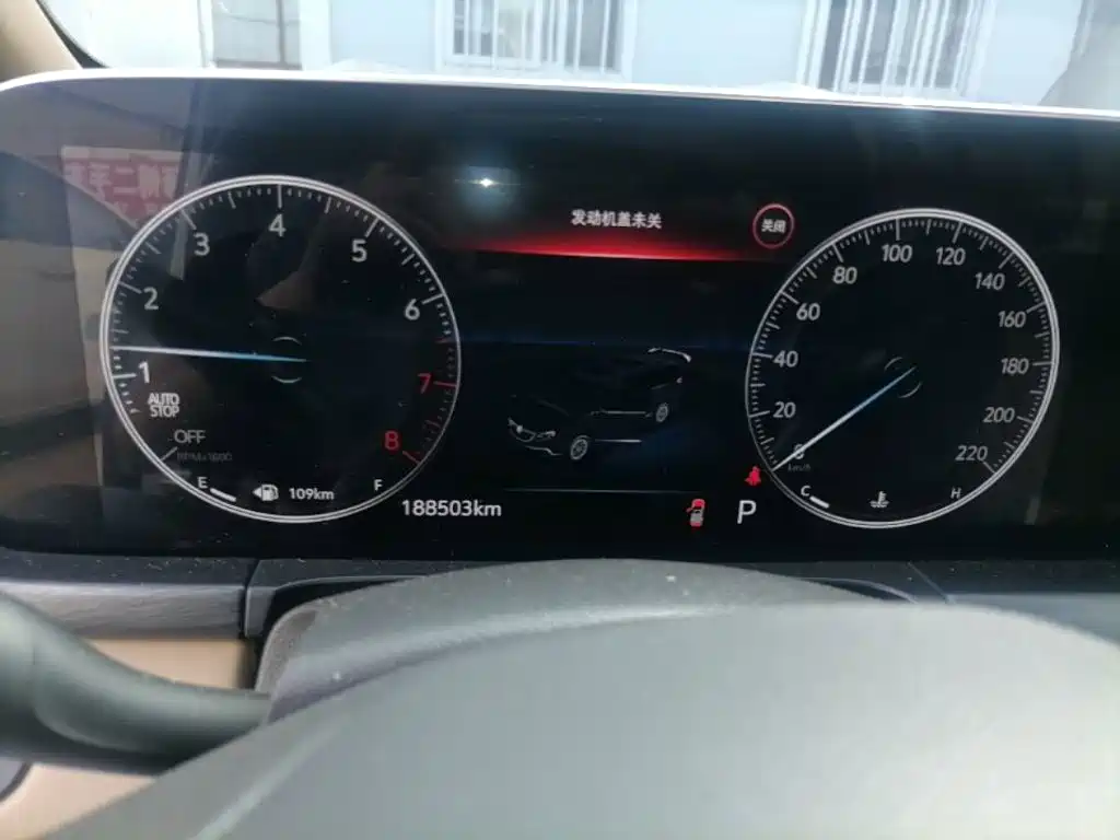 Buick GL8 — миниатюра 16
