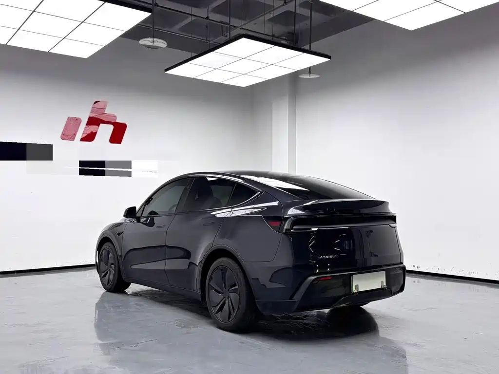 Tesla Model Y — миниатюра 14