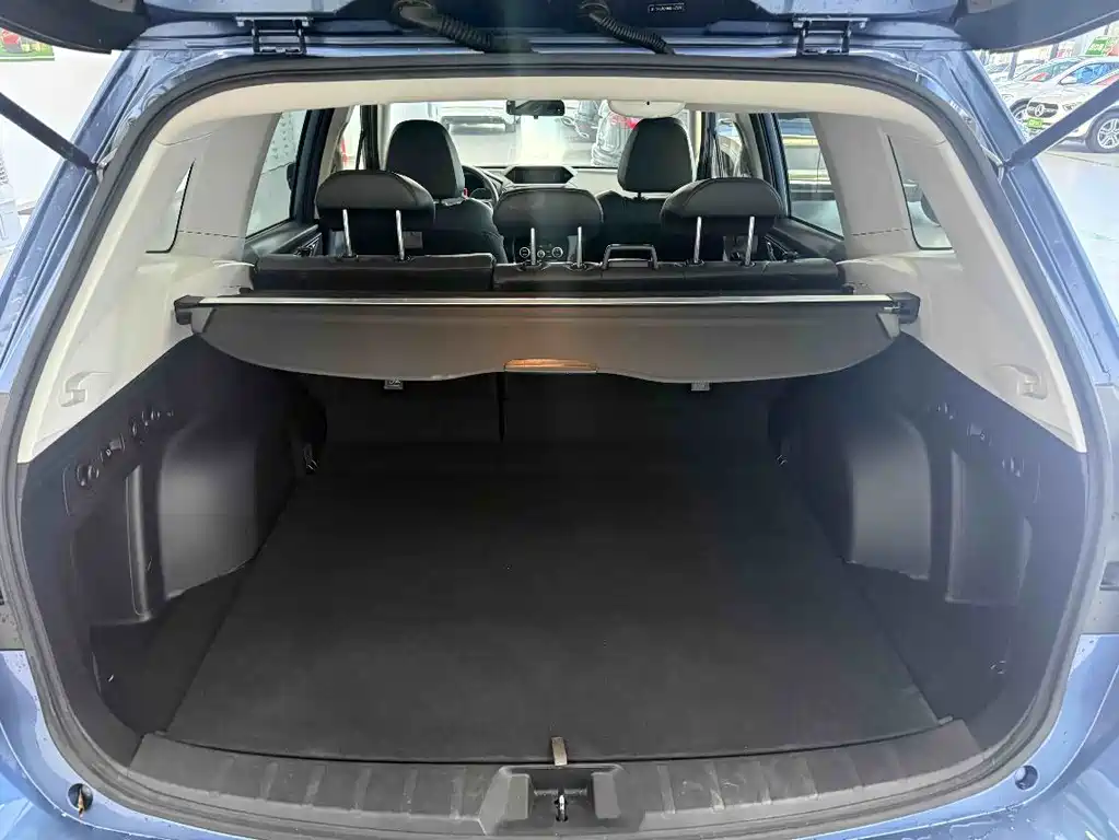 Subaru Forester — миниатюра 19