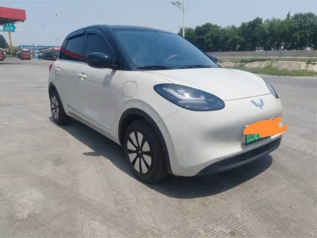 Wuling Binguo 2024 333km Enjoy