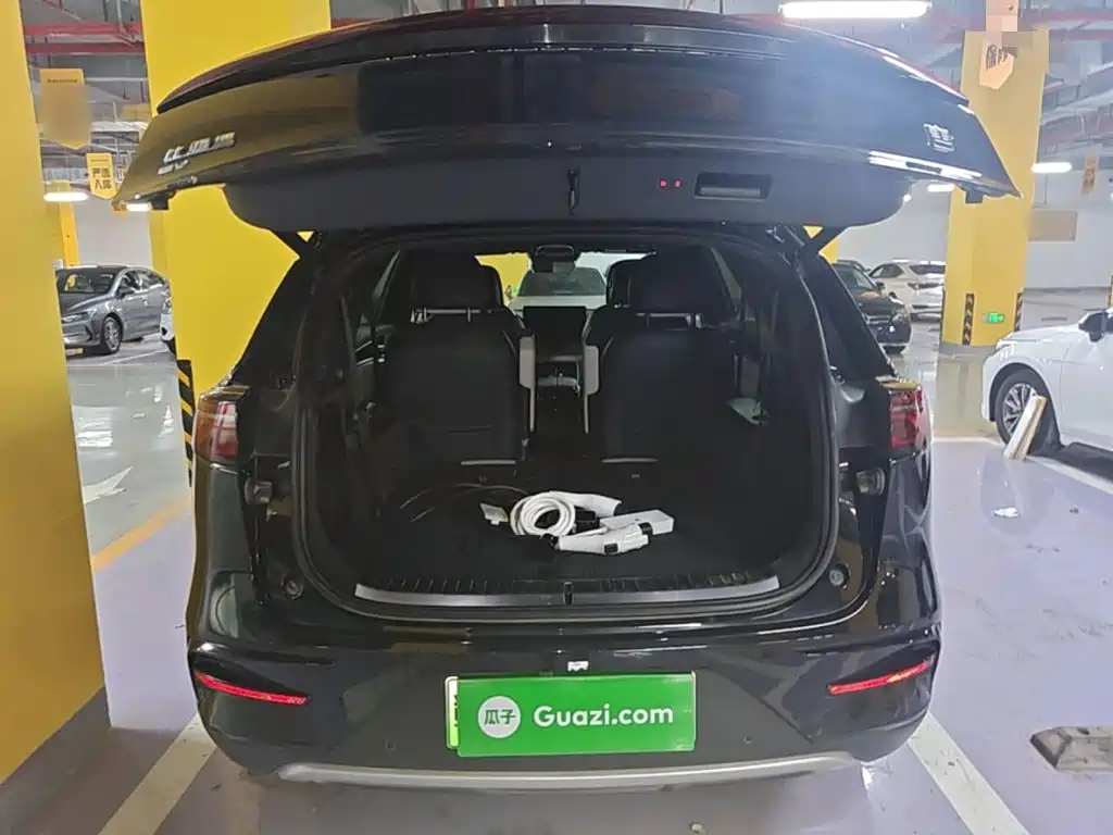 BYD Tang New Energy — миниатюра 19