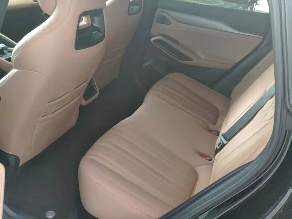 BYD L EV — миниатюра 17