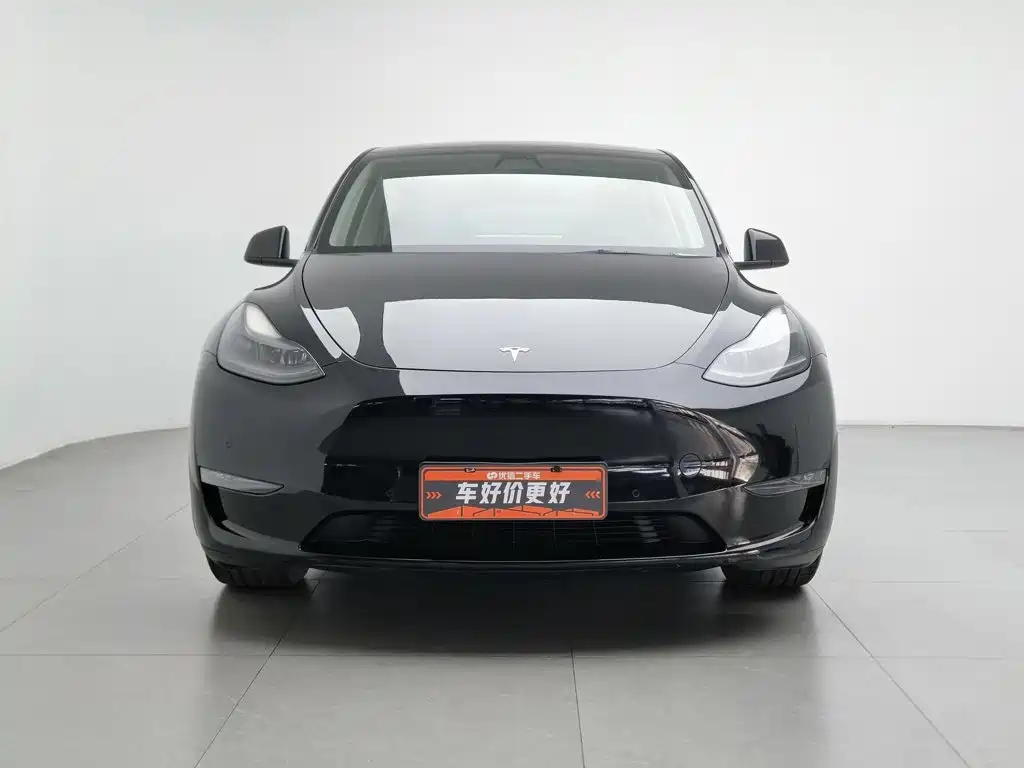Tesla Model Y — миниатюра 3