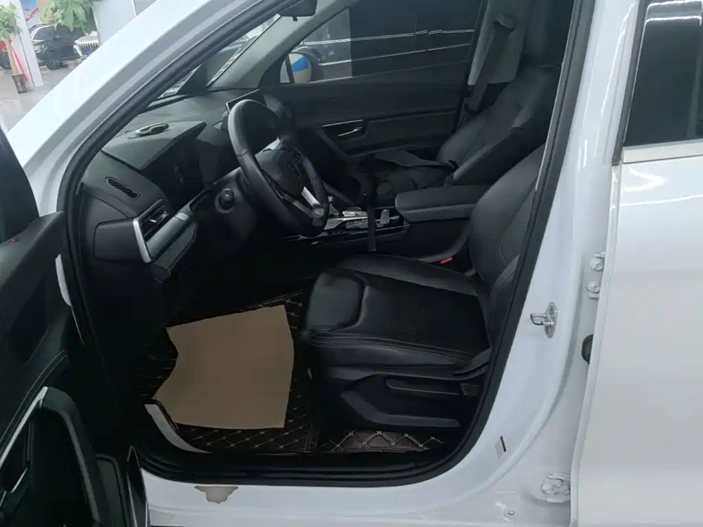 BYD Pro — миниатюра 15