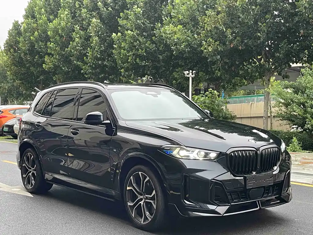 BMW X5 — миниатюра 3