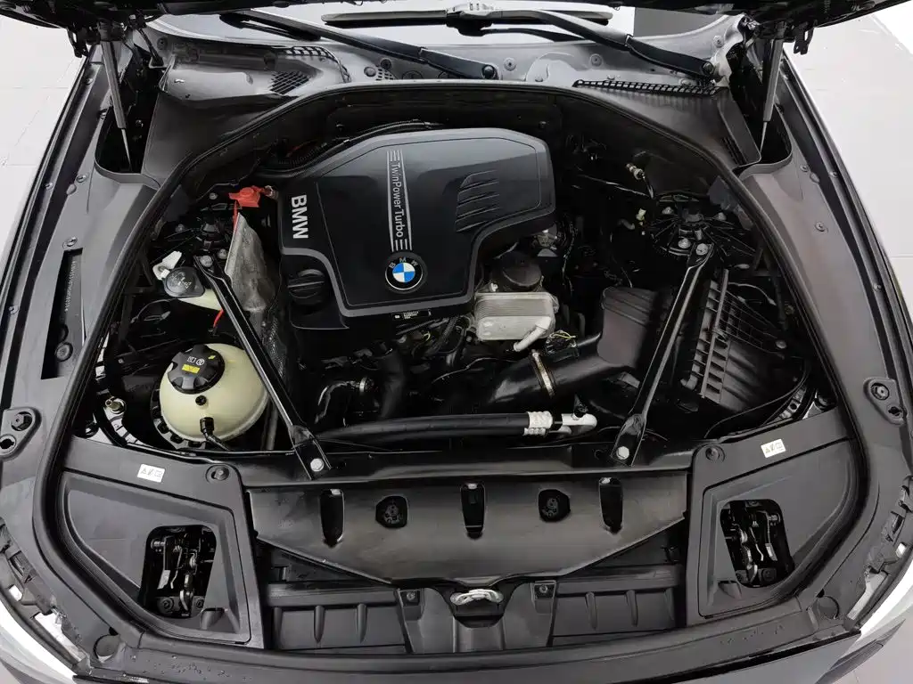 BMW 5 Series 5 2017 525Li Lead