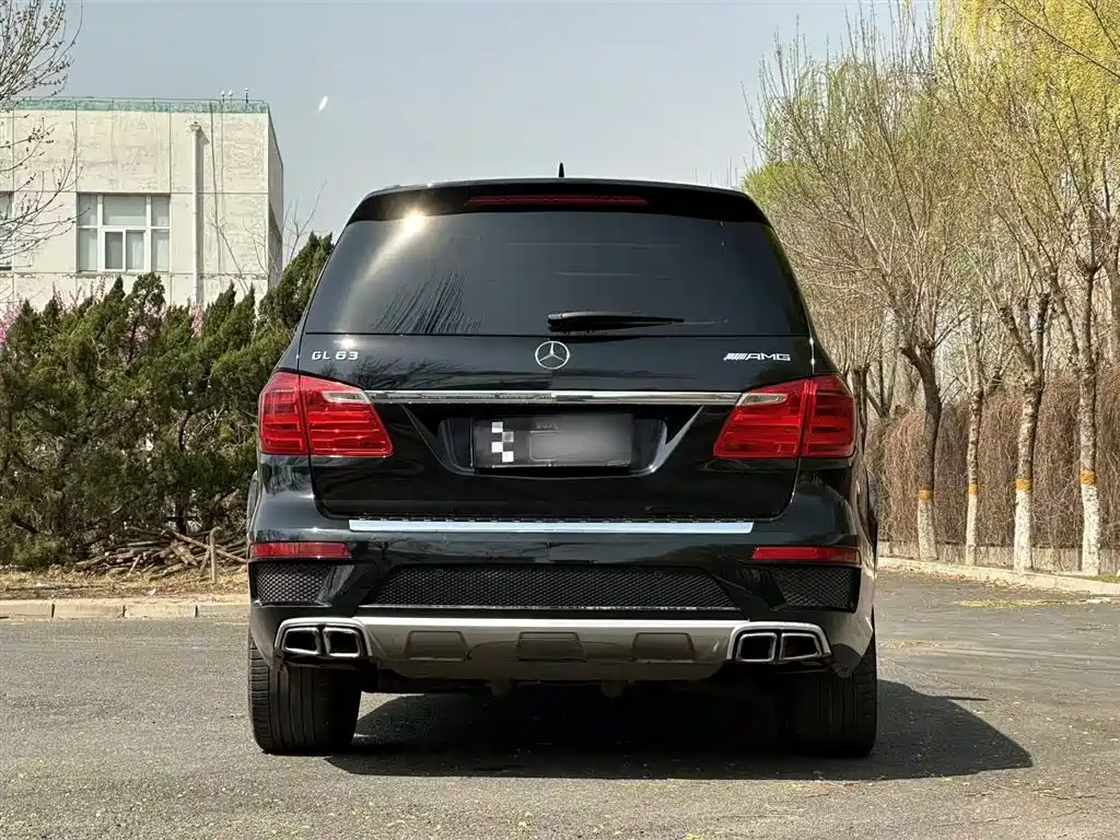 Mercedes-Benz GL-Class AMG — миниатюра 7