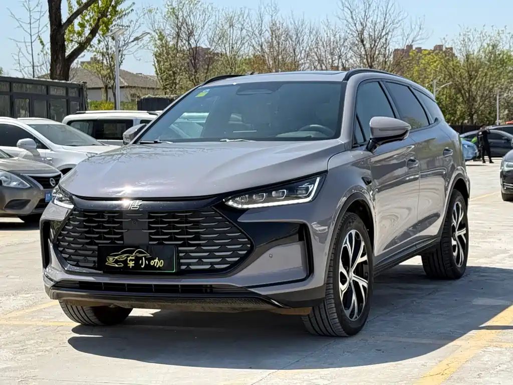 Byd Tang New Energy 2025