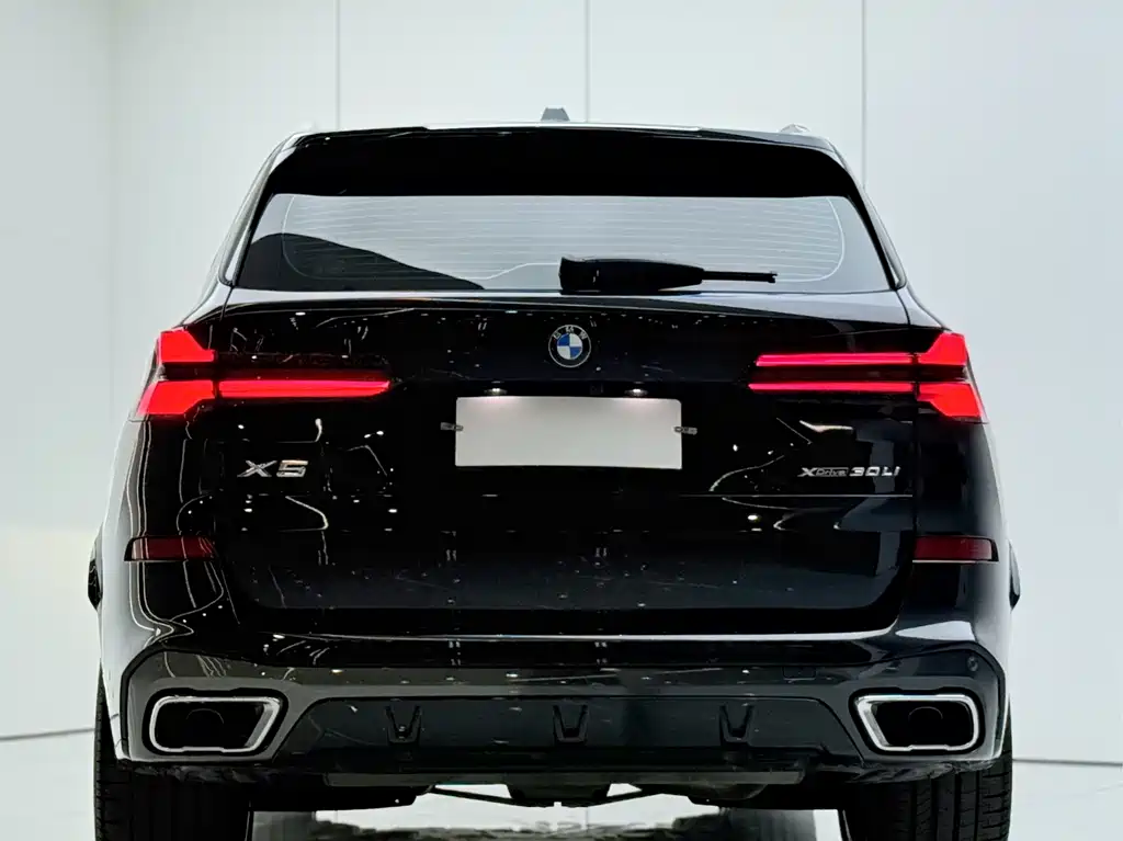 BMW X5 — миниатюра 18