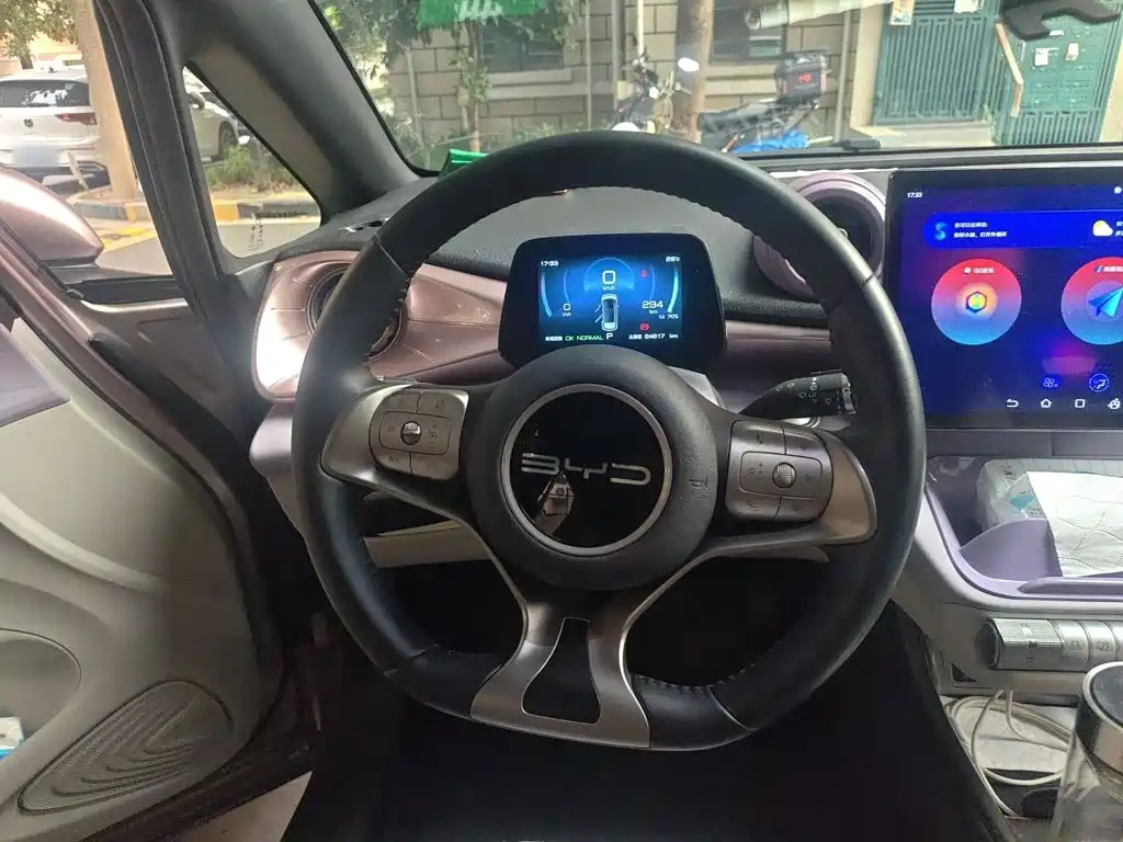 BYD Dolphin — миниатюра 7