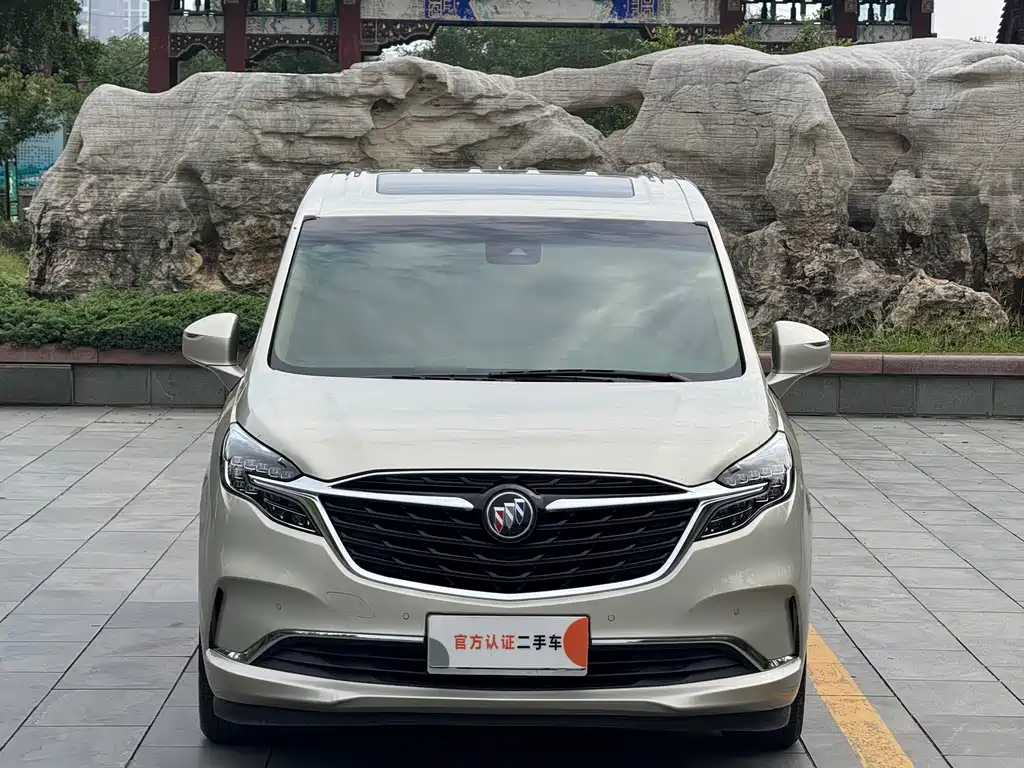 Buick GL8 — миниатюра 2